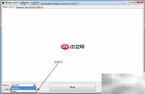 Minecraft正版Forge安装指南