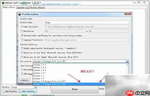 Minecraft正版Forge安装指南