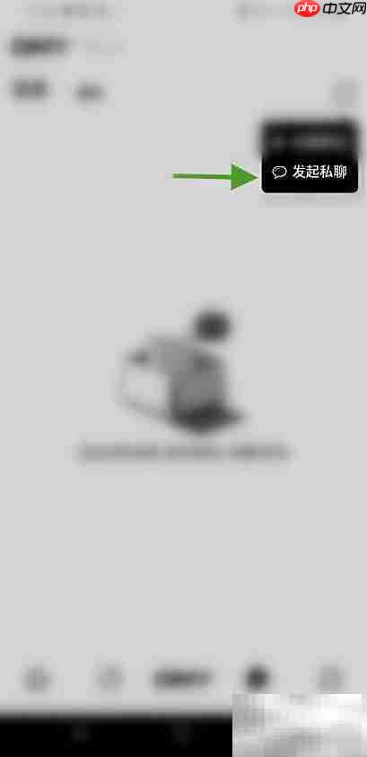 Any如何发起私聊？