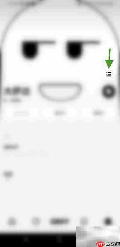 Any如何发起私聊？