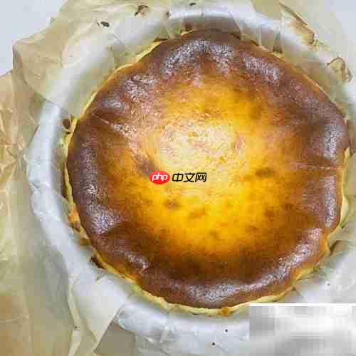 流心巴斯克:出游拍照必备