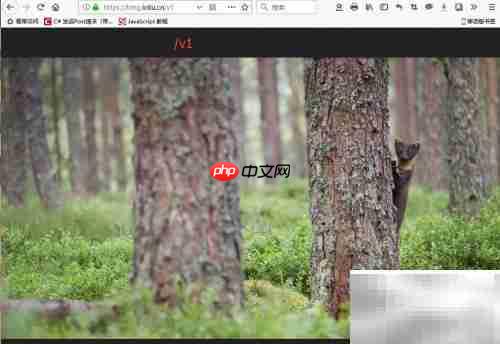 Bing壁纸API使用指南