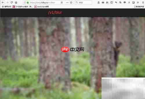 Bing壁纸API使用指南