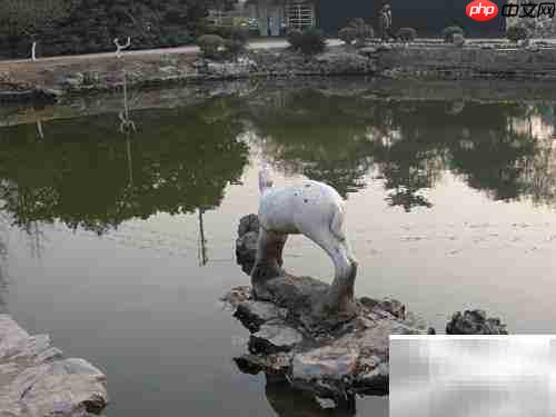 培养孩子阅读习惯的妙招