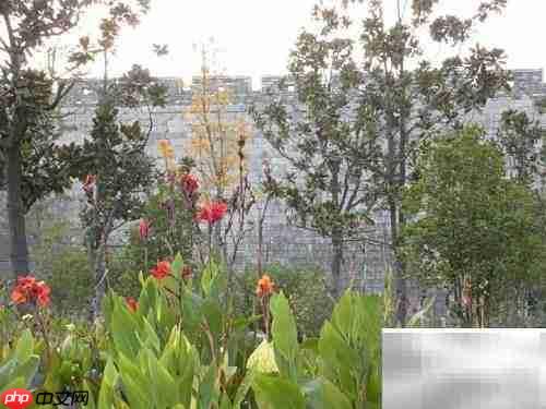 培养孩子阅读习惯的妙招