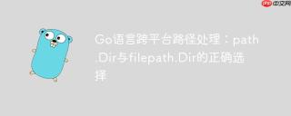 Go语言跨平台路径处理：path.Dir与filepath.Dir的正确选择