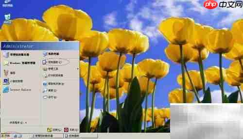 Win Server 2003显示鼠标轨迹