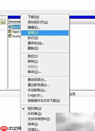 FTP软件使用入门指南