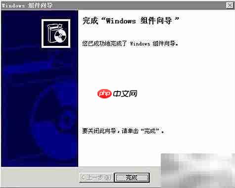 Windows Server 2003 FTP安装指南