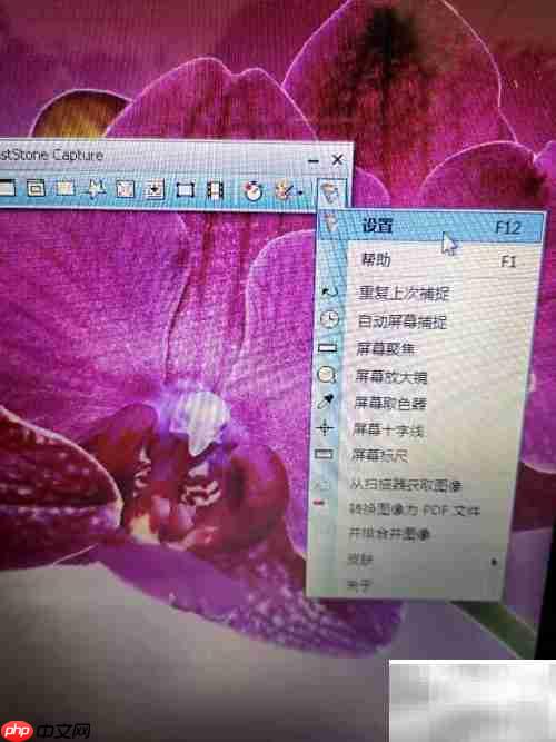 FastStone延迟捕捉设置技巧