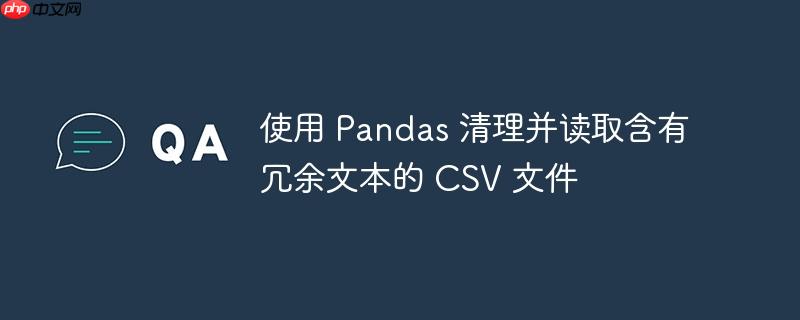 使用 Pandas 清理并读取含有冗余文本的 CSV 文件

