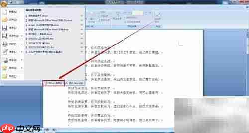 Word自定义菜单设置方法