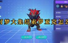 宝可梦大集结索罗亚克怎么玩 宝可梦大集结索罗亚克攻略
