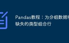Pandas教程：为分组数据填充缺失的类型组合行