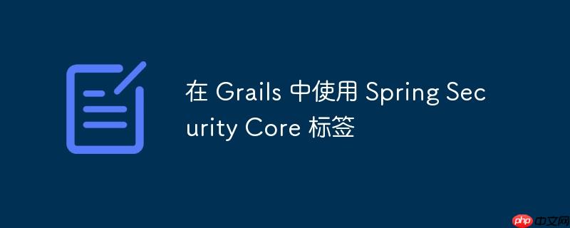 在 Grails 中使用 Spring Security Core 标签