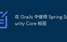 在 Grails 中使用 Spring Security Core 標(biāo)簽