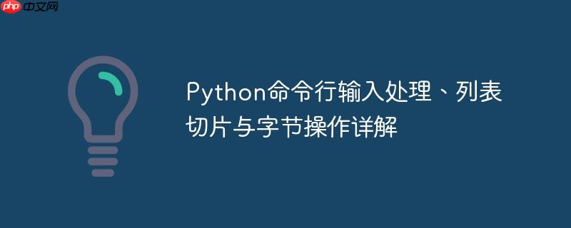 Python命令行输入处理、列表切片与字节操作详解