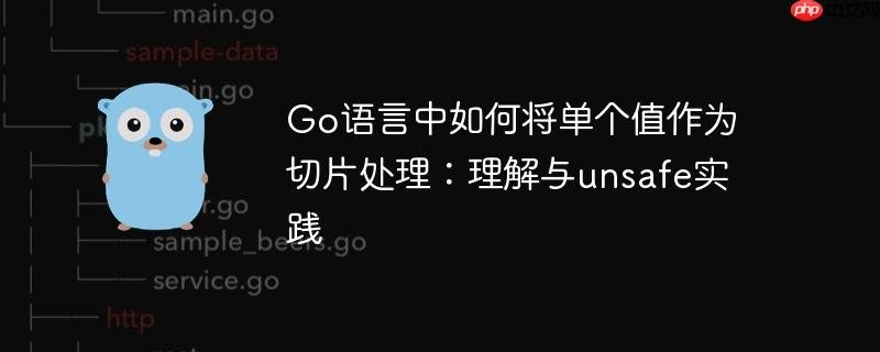 Go语言中如何将单个值作为切片处理:理解与unsafe实践