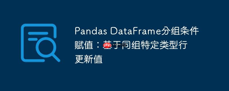 Pandas DataFrame分组条件赋值:基于同组特定类型行更新值