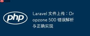 Laravel 文件上传：Dropzone 500 错误解析与正确实现