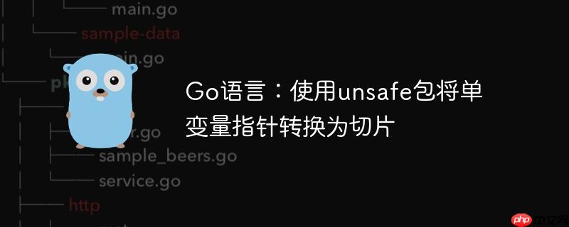 Go语言：使用unsafe包将单变量指针转换为切片
