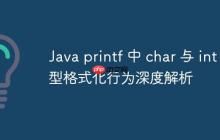 Java printf 中 char 與 int 類型格式化行為深度解析