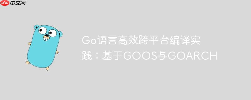 Go语言高效跨平台编译实践:基于GOOS与GOARCH
