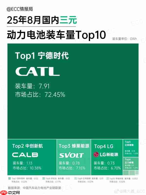 8月中国动力电池装车量排名：宁德独占七成三元锂市场