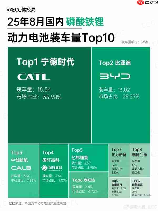 8月中国动力电池装车量排名：宁德独占七成三元锂市场