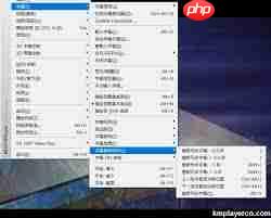 kmplayer plus如何调整字幕