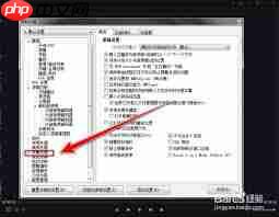 kmplayer plus如何调整字幕