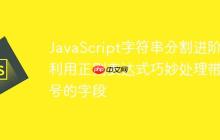 JavaScript字符串分割進(jìn)階：利用正則表達(dá)式巧妙處理帶引號(hào)的字段