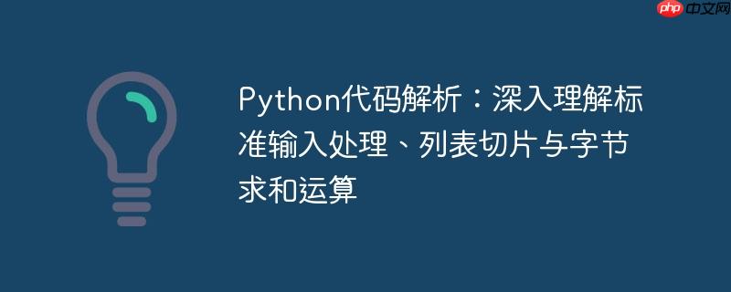 Python代码解析：深入理解标准输入处理、列表切片与字节求和运算