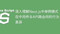 Sangat memahami perbezaan tingkah laku antara middleware dan routing API di Next.js