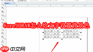 CorelDRAW如何给文字设置背景色
