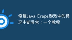 修復(fù)Java Craps游戲中的循環(huán)中斷異常:一個(gè)教程