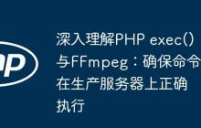 深入理解PHP exec()與FFmpeg：確保命令在生產(chǎn)服務(wù)器上正確執(zhí)行