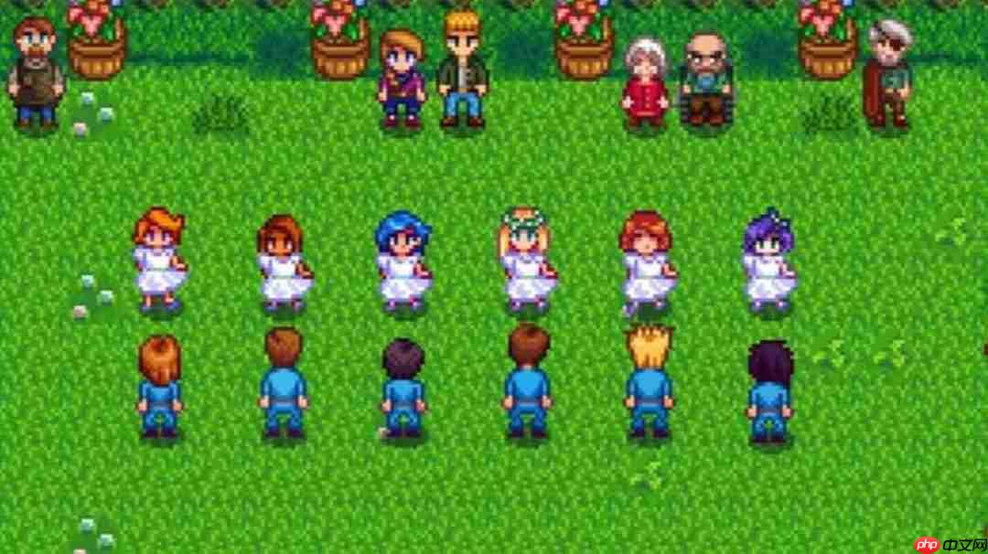 日本除外! 《星露谷物语》将获Switch2版免费升级