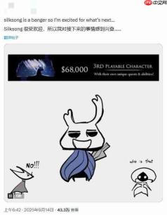 这么早就幸幻想？玩家热议《空洞骑士》下一作主角