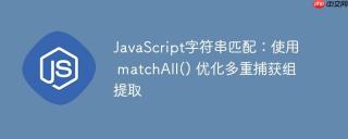JavaScript字符串匹配：使用 matchAll() 优化多重捕获组提取