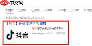 手机如何进入抖音网页版