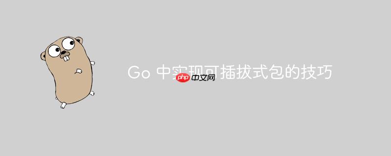 Go 中实现可插拔式包的技巧