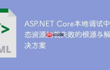 ASP.NET Core本地调试中静态资源加载失败的根源与解决方案
