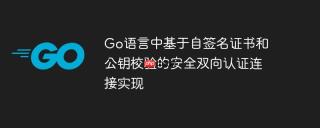 Go语言中基于自签名证书和公钥校验的安全双向认证连接实现