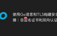 使用Go語言和TLS構(gòu)建安全連接：自簽名證書和雙向認證