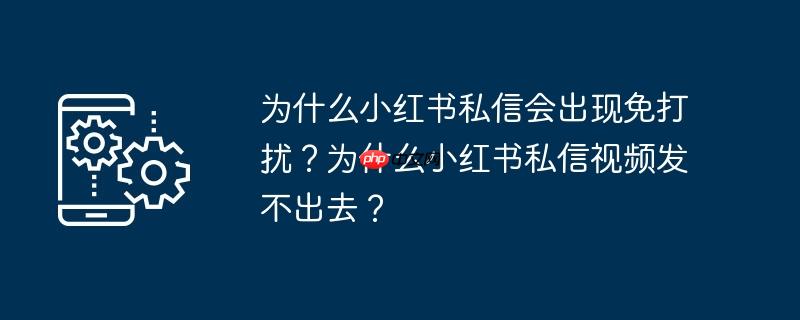 为什么小红书私信会出现免打扰？为什么小红书私信视频发不出去？
