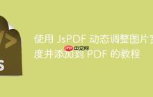 使用 JsPDF 動態(tài)調(diào)整圖片寬度并添加到 PDF 的教程