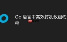 Go 語言中高效打亂數(shù)組的教程