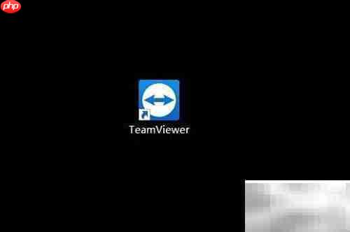 TeamViewer停止接收内测版