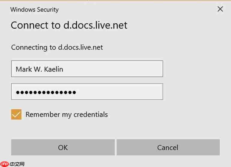 教你Win10系统为OneDrive分配驱动器号的技巧